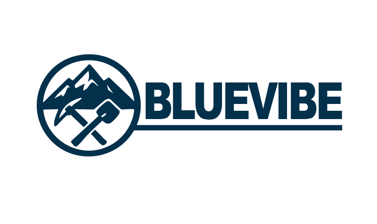 Blue Vibe Logo